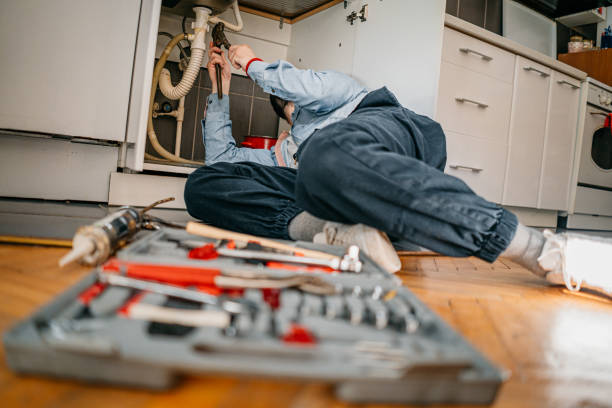 Best Emergency Plumber  in Carlisle, IA