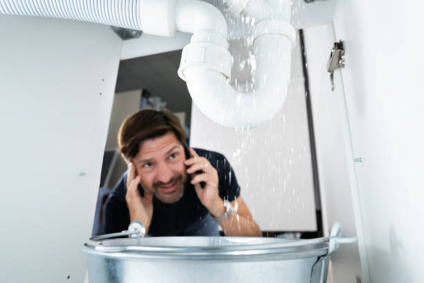 Best Same-Day Plumbing Service  in Carlisle, IA