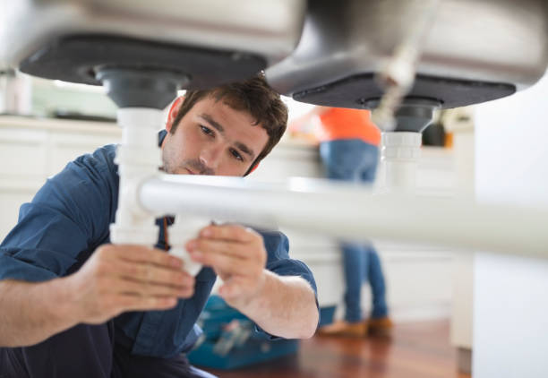 Best Plumbing Services Near Me  in Carlisle, IA