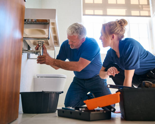 Best Sewer Cleaning Services  in Carlisle, IA